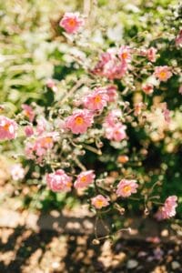 Beautiful flowers at one of the most sustainable wedding locations Wisconsin has. 