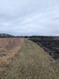 The benefits of a prescribed burn in our nature-inspired wedding venue in Pepin, WI