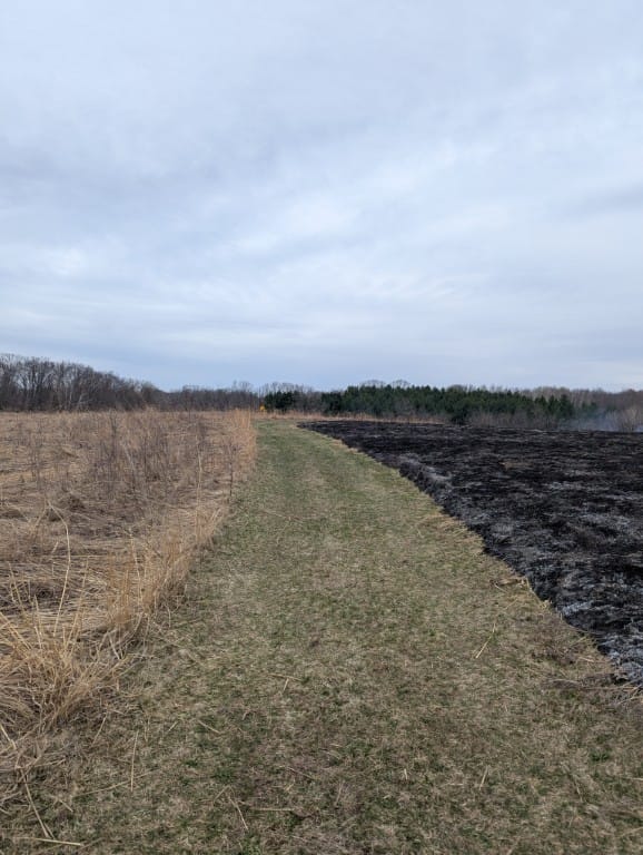 The benefits of a prescribed burn in our nature-inspired wedding venue in Pepin, WI